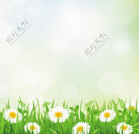矢量花朵小雏菊浪漫背景图片