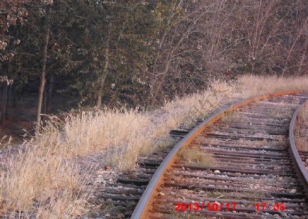 林间铁路图片