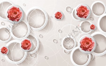 玫瑰3D背景图片