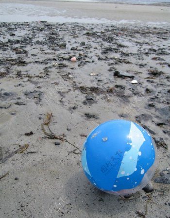 沙滩气球图片