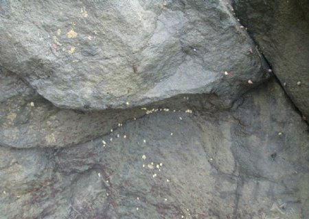 石头海边石头图片