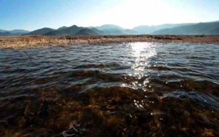 清澈见底的泸沽湖图片