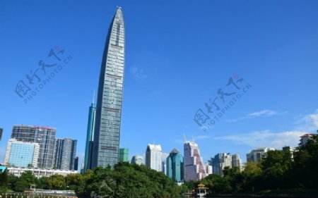 荔枝公园看深圳京基100大厦图片