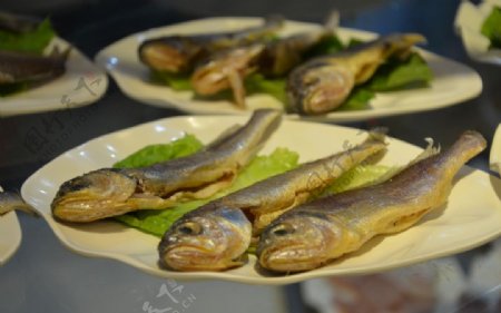 自助火锅菜品摄影之海鲜图片