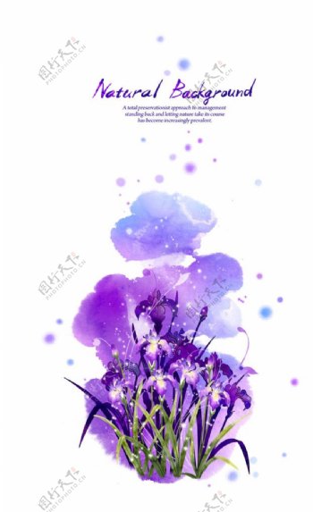 唯美紫色花紫色墨迹图片