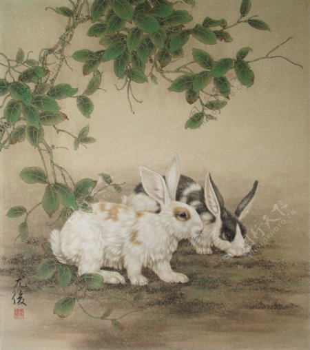 兔年画兔图片