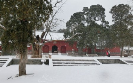 会善寺冬季雪景图片