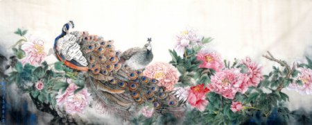 国画孔雀牡丹图片