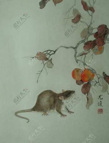 李尤俊的工笔生肖画鼠图片