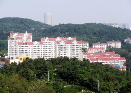 山坡红顶居民楼图片
