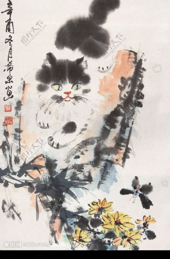 庞希泉现代国画猫蝶图图片