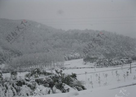 大雪过后的村庄图片