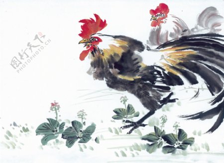 十二生肖鸡水墨画图片