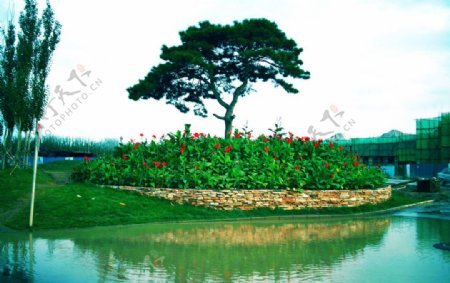 红螺湖鸟岛风景广告设计素材图片