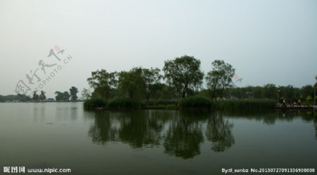 莲花湖杨柳岸图片