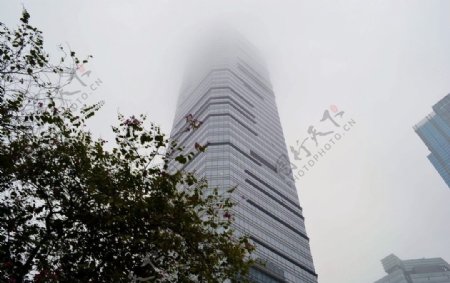 大雾中的广州万菱汇图片