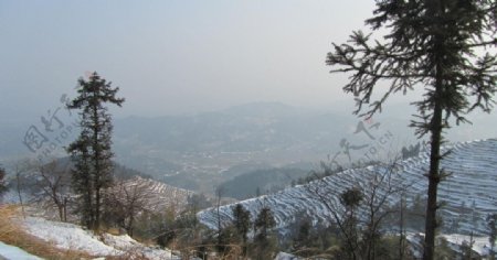 梯田雪景图片