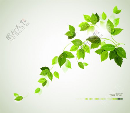 动感绿叶环保背景图片