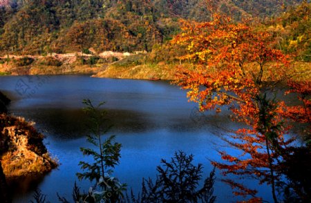 重庆黄水森林太阳湖图片