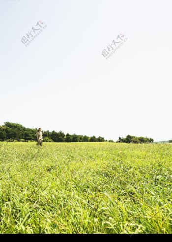 嫩绿草地上的女孩图片
