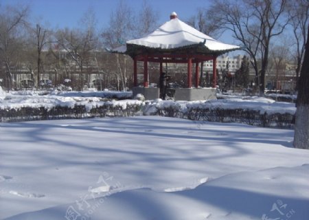 公园的冬天图片