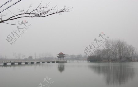 平湖冬色图片