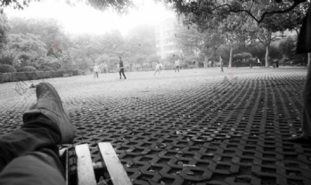 上海鲁迅公园长条登图片