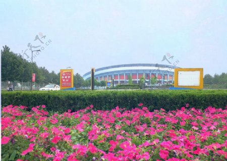 山东淄博体育中心外貌非高清图片