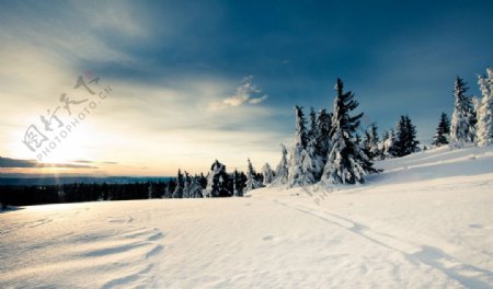 阳光雪景图片