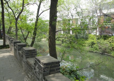 扬州古典园林个园附近风景图片