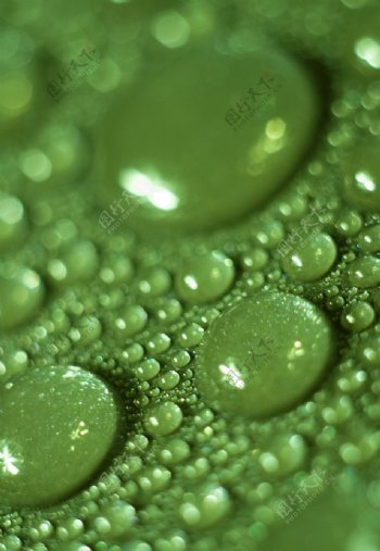 绿色水珠图片