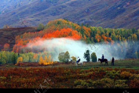 新疆的秋天1图片