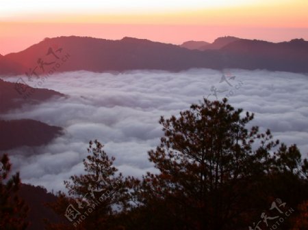 阿里山云海图片