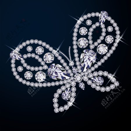 蝴蝶钻石图片