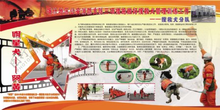 中国消防搜救犬图片