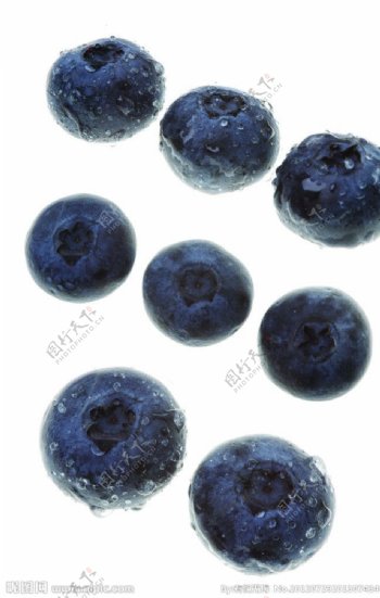 蓝莓图片