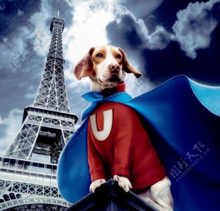 超狗电影海报图片