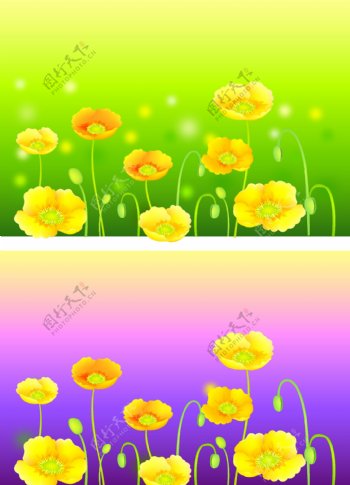 08最新韩国精美花卉背景矢量素材7P图片
