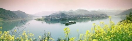 旅游风景新安江山水画廊油菜花画中江南图片