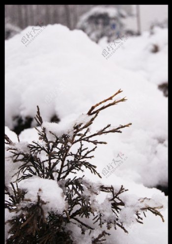 北京的冬天图片