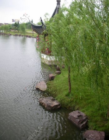 江南西塘湖边杨柳亭子图片
