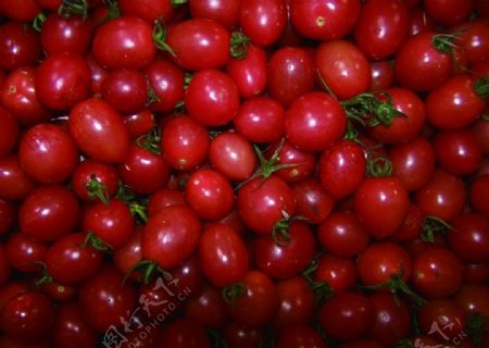 樱桃西红柿图片