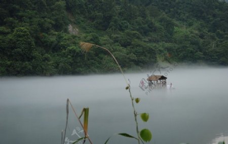小东江的雾图片
