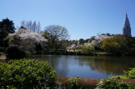 日本花园风景图片