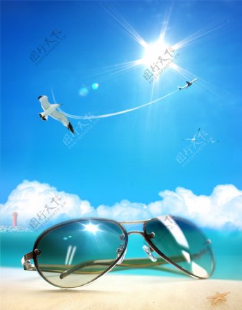蓝天白云阳光海滩墨镜海鸥飞机拉线图片