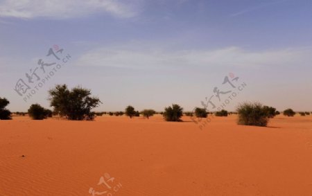 苏丹北喀土地沙化图片