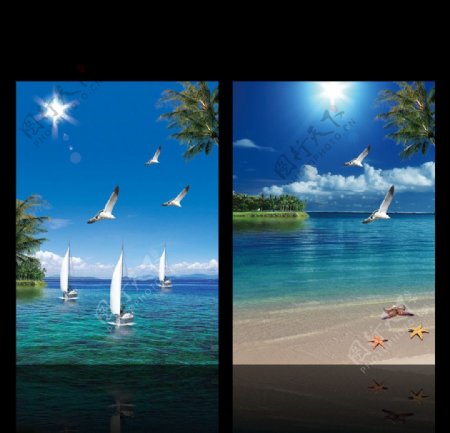 蓝天大海椰树海图片