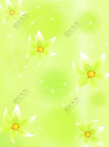 绿色花朵背景图片