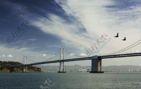 外国大桥图片