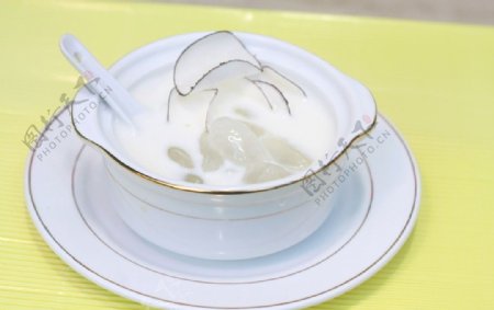 鲜奶椰汁炖海底椰图片